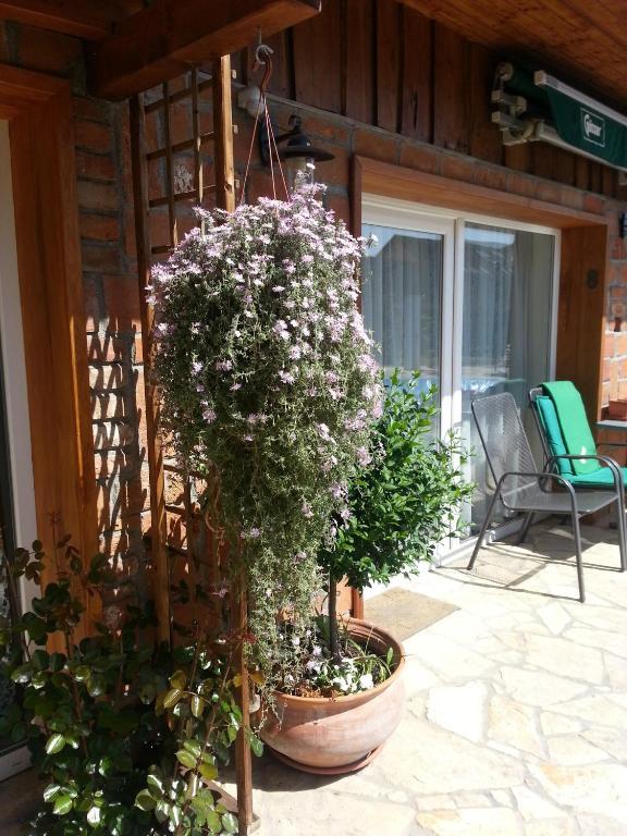 Gasthaus Joo-Wellness Pension Rábapaty Buitenkant foto